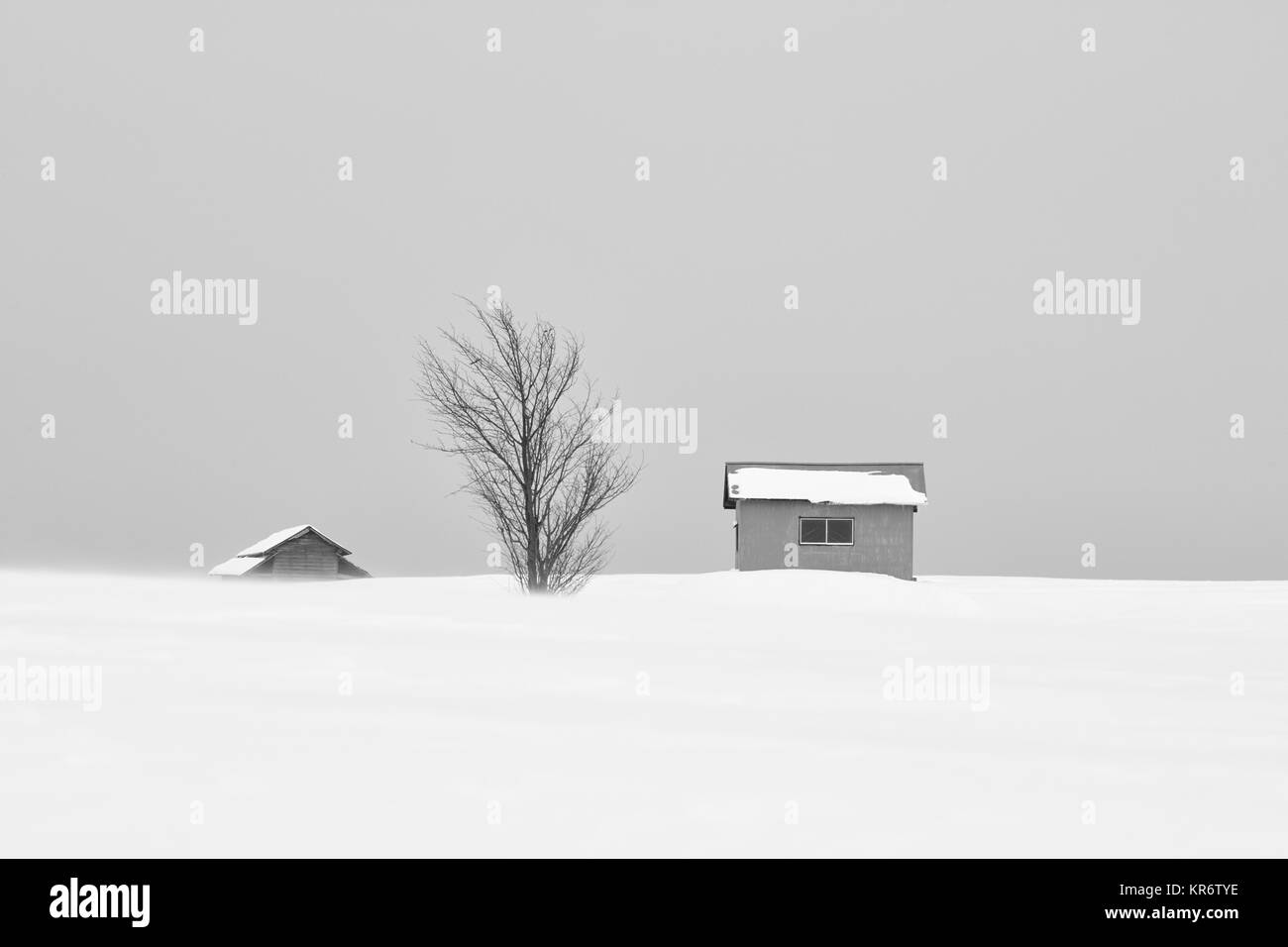 La neige paysage d'hiver avec deux petites maisons et arbre solitaire dans la distance, Biei. Banque D'Images