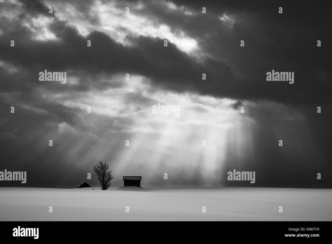 La neige paysage d'hiver sous un ciel dramatique, avec deux petites maisons et arbre solitaire dans la distance, Biei. Banque D'Images