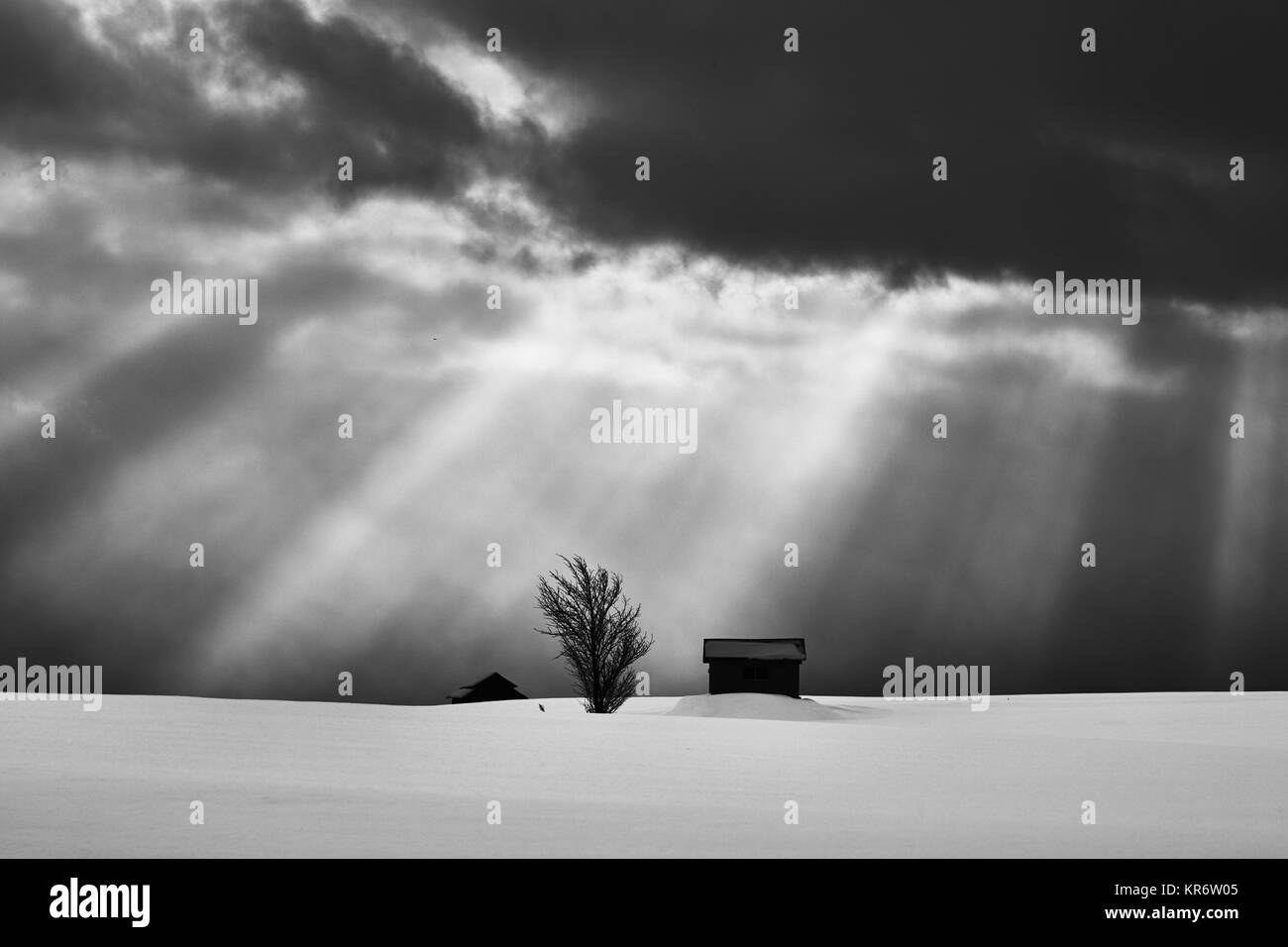 La neige paysage d'hiver sous un ciel dramatique, avec deux petites maisons et arbre solitaire dans la distance, Biei. Banque D'Images