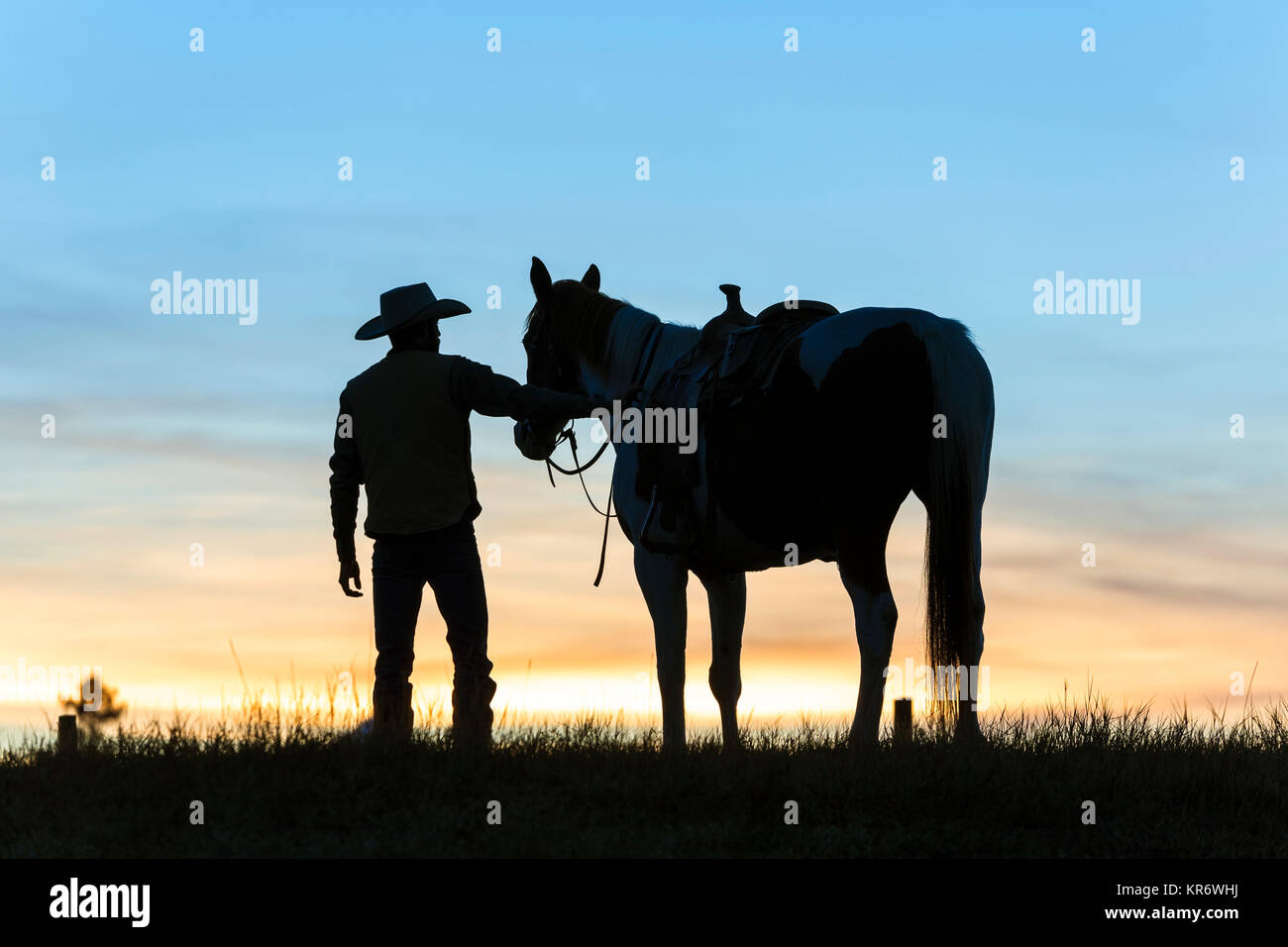 Cowboy debout à côté de son cheval dans une prairie au coucher du soleil. Banque D'Images