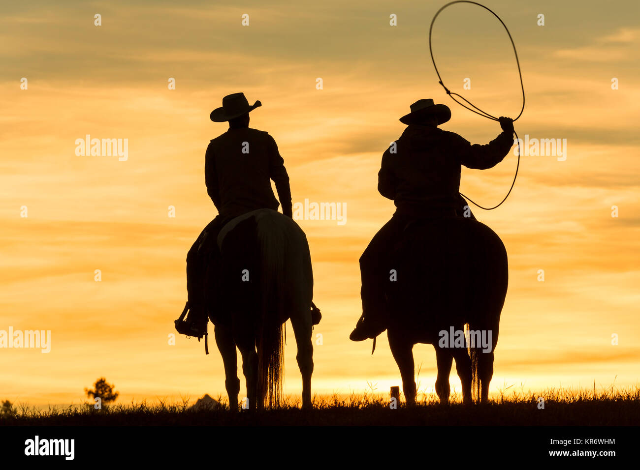 Deux cowboys à cheval dans une prairie au coucher du soleil, un lasso oscillante. Banque D'Images