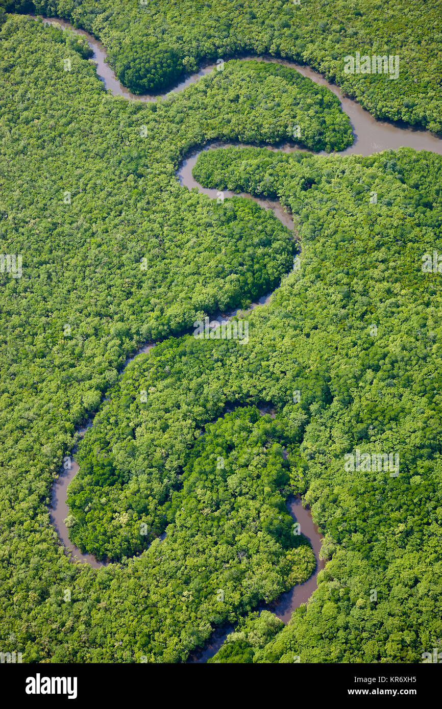 Vue aérienne de la rivière qui traverse la forêt tropicale humide. Banque D'Images