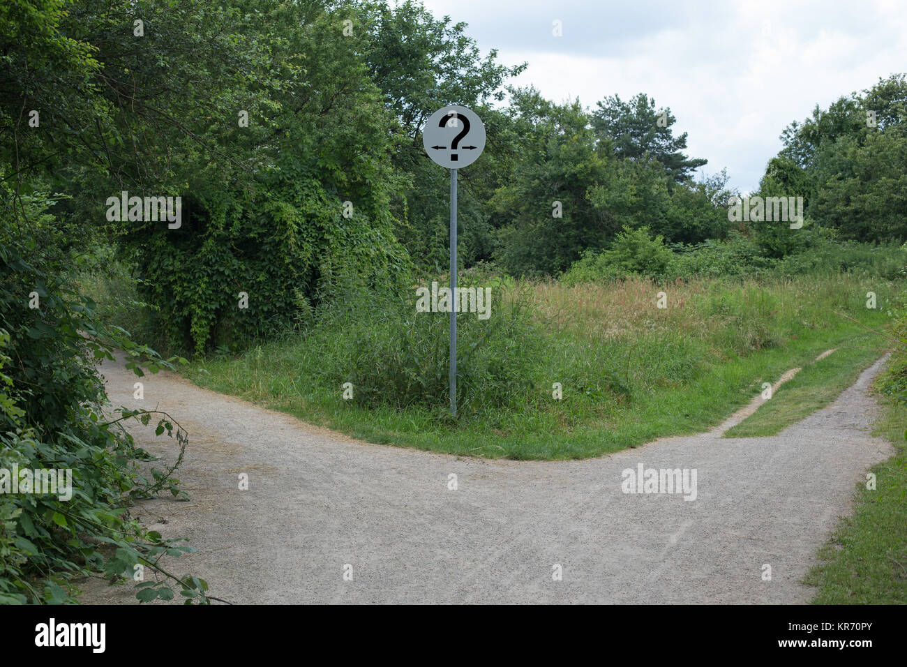 Droite ou gauche ? Une fourchette dans la route dans la forêt Banque D'Images