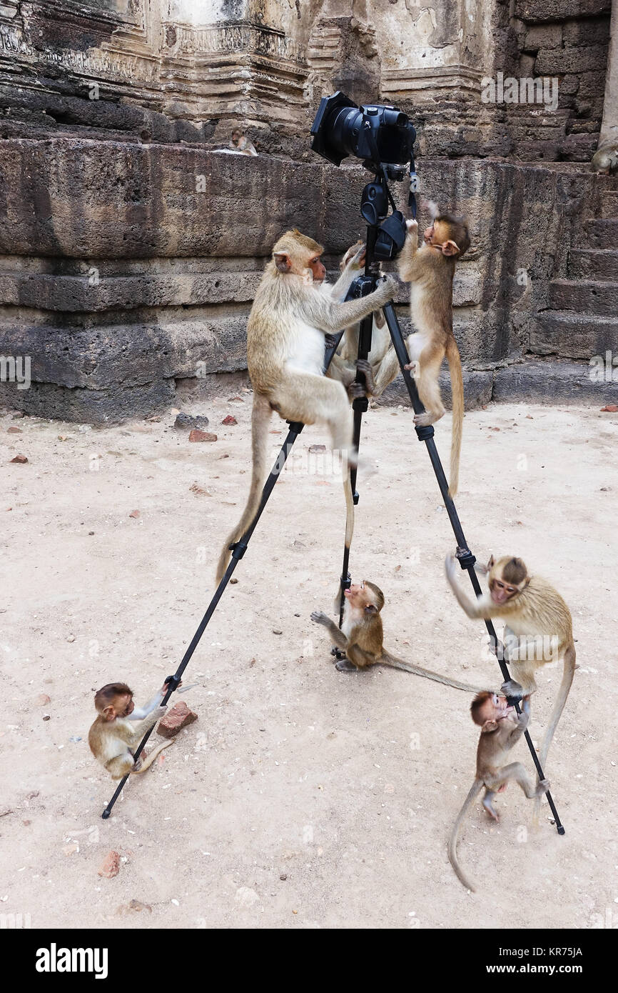 Photographiant scène amusante Banque D'Images