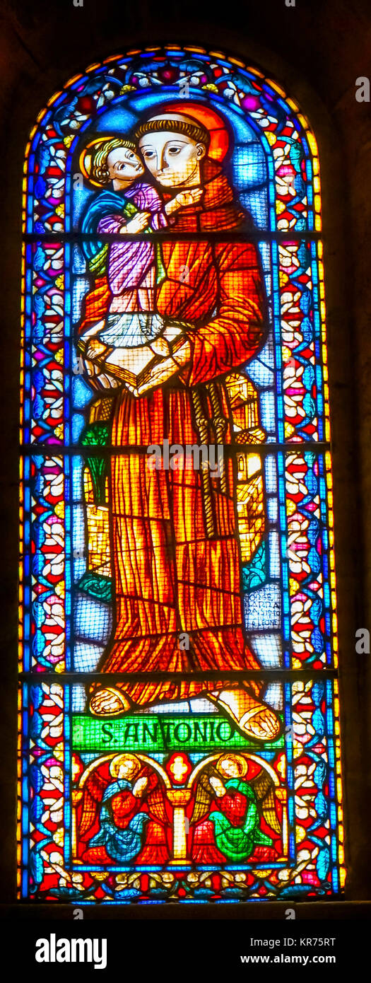 Saint Antoine livre Jésus Vitrail La basilique se Sedes Episcopalis Cathédrale Lisbonne Portugal. Saint Antoine est le Saint Patron du Portugal. Le cath Banque D'Images