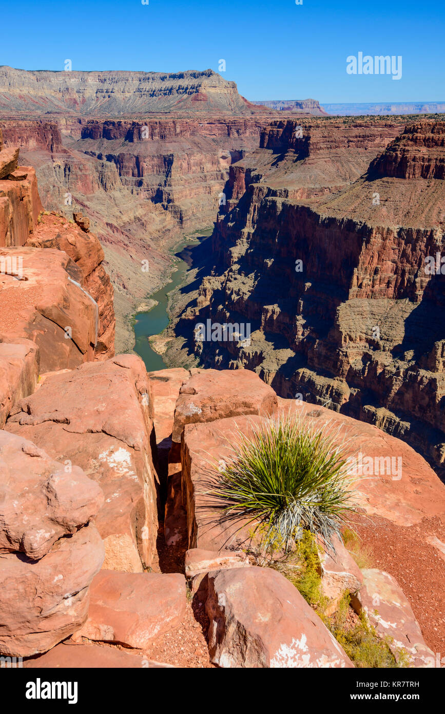 Toroweap donnent sur le Parc National du Grand Canyon, Arizona, USA. C'est 3000 pieds au-dessus de la rivière Colorado, dans le droit de la partie supérieure. Banque D'Images