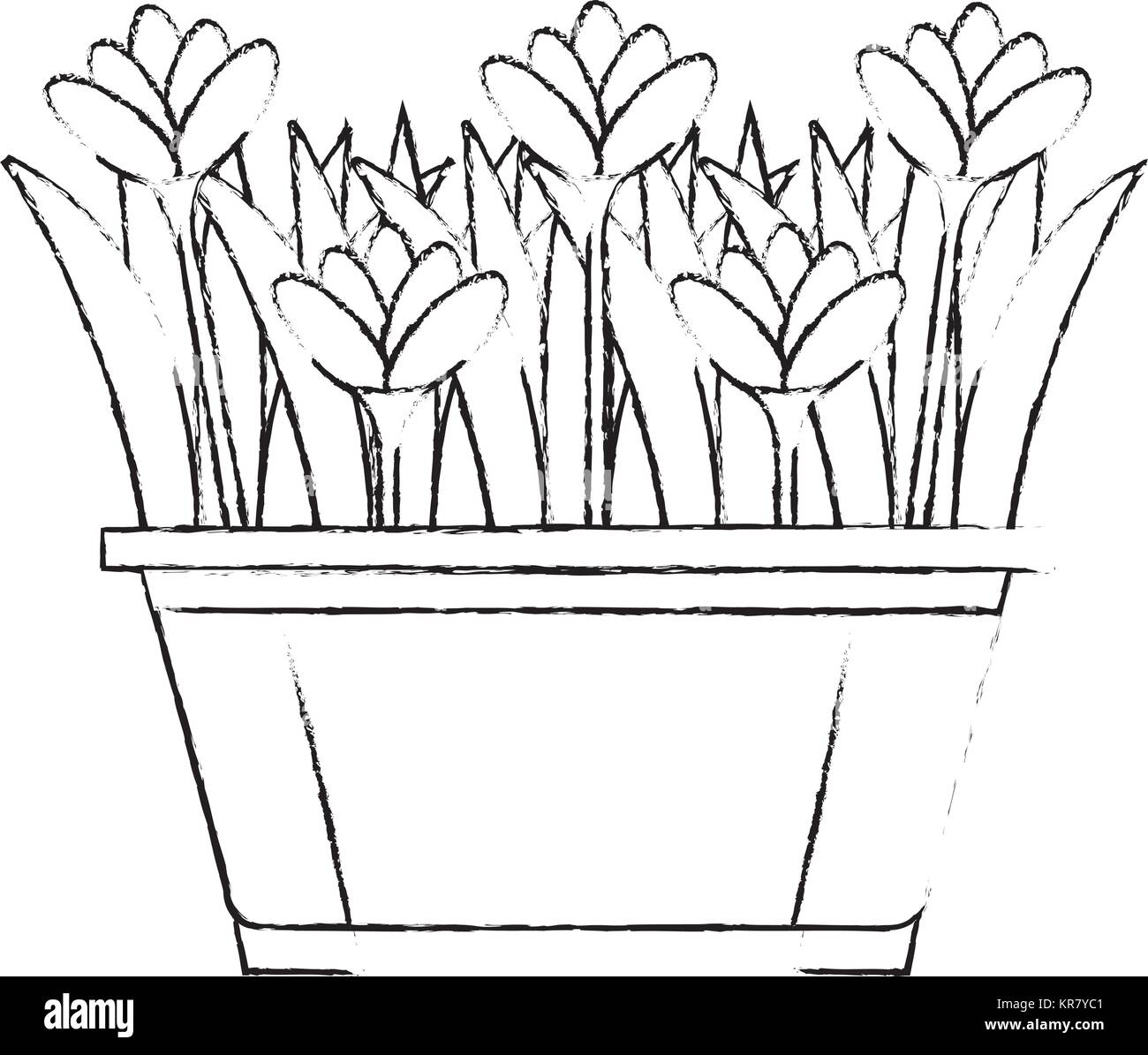 De belles fleurs cultivées en pot Illustration de Vecteur