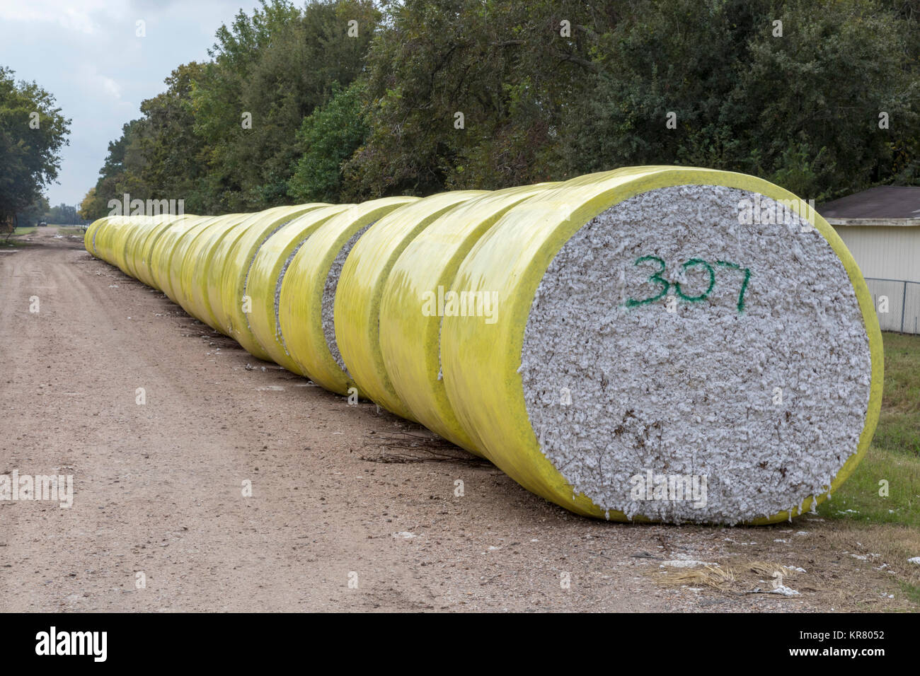 Needville, Texas - balles de coton derrière le coton Needville gin. Banque D'Images