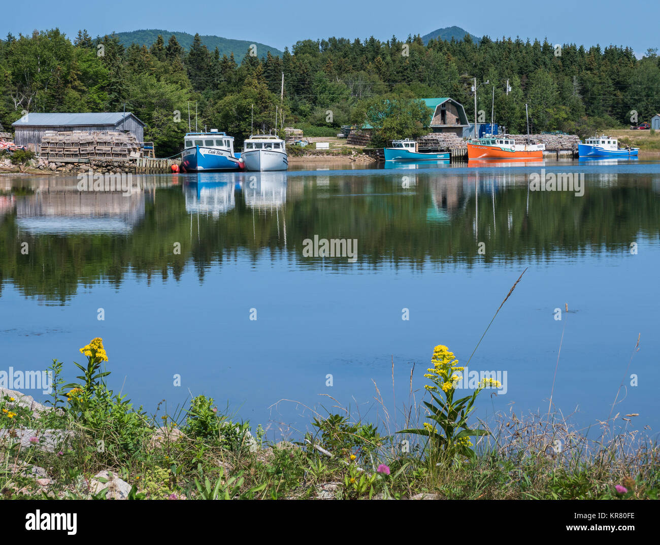 Bateaux de pêche au port, Dingwall, l'île du Cap-Breton, Nouvelle-Écosse, Canada. Banque D'Images