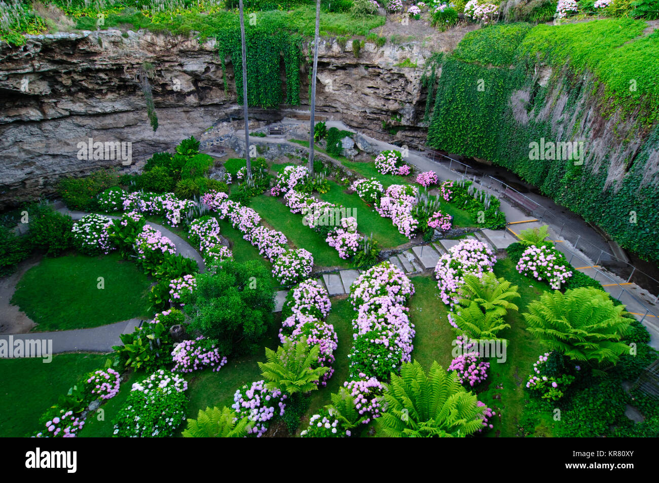 La grotte Jardins en Umpherston Sinkhole, Mount Gambier, Australie du Sud, Australie Banque D'Images