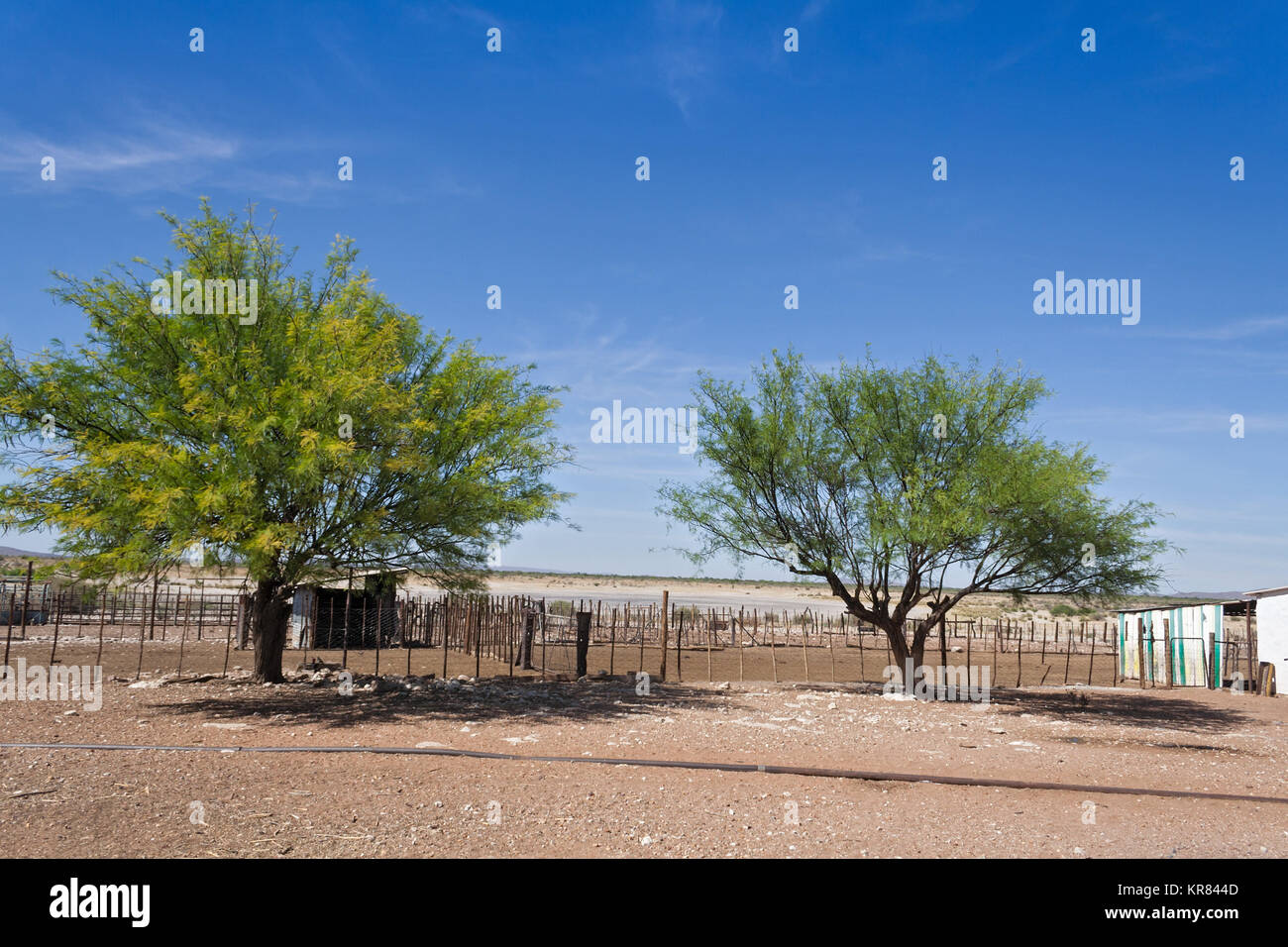 Gate sur une ferme de bétail dans l'est de la namibie Banque D'Images Gate sur une ferme de bétail dans l'est de la namibie Banque D'Images
