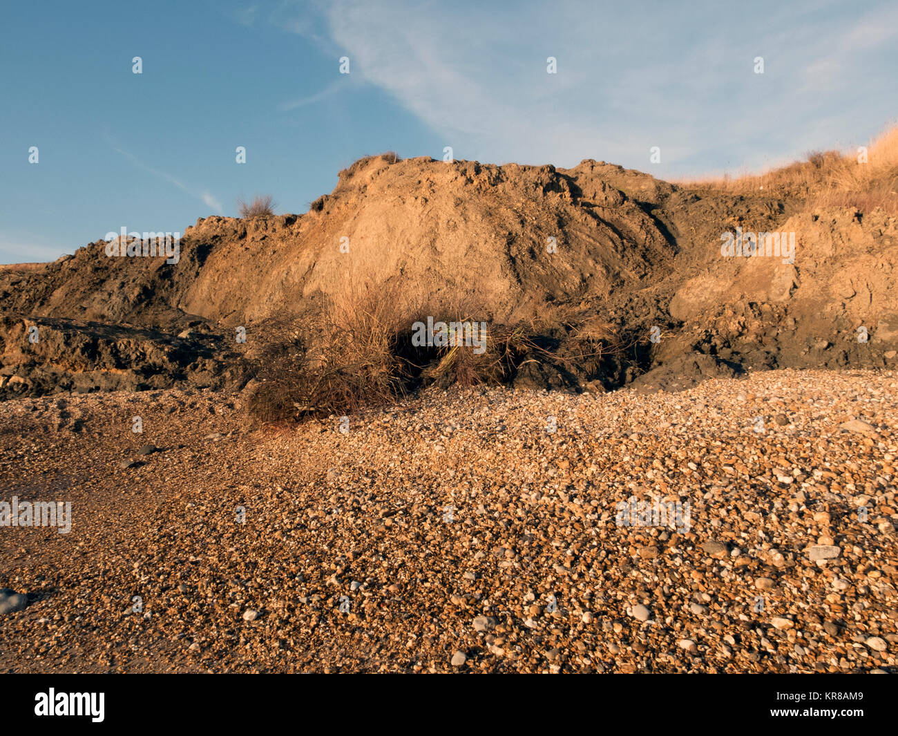 Preuve de la falaise et de l'érosion côtière, la perte de bâtiments et exposé les tuyauteries, systèmes de drainage, de l'argile molle, de boue et s'effondra de falaises. Banque D'Images