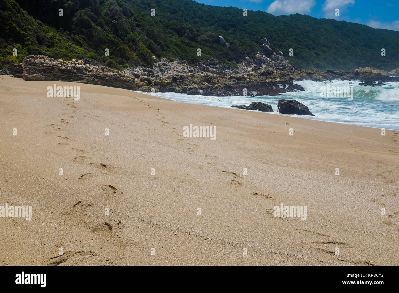 Traces le long d'une plage vide par l'océan le long de la Otter Trail, au sud de l'Afrique les plus célèbre et magnifique sentier de randonnée pédestre Banque D'Images