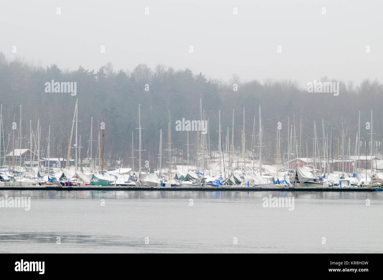 L'hibernation de yachts de plaisance en Revierhavnen sur Hovedoya island, une des îles du fjord d'Oslo, à proximité de Oslo, Norvège. Banque D'Images