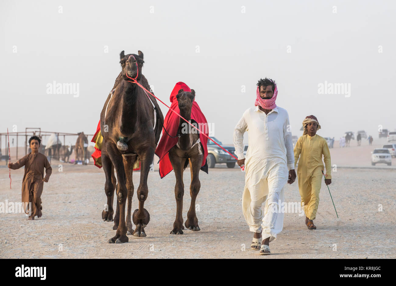 Le Madinat Zayed, Emirats Arabes Unis, Décembre 15th, 2017 : arabe avec son chameau au million Street où les chameaux s'achetés et vendus Banque D'Images