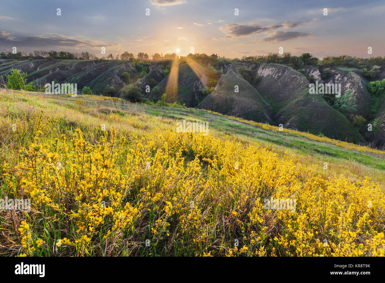 L'Ukraine, région de Dniepropetrovsk, Novomoskovskiy Soleniy Lake District, Lyman, Sunrise Over landscape Banque D'Images