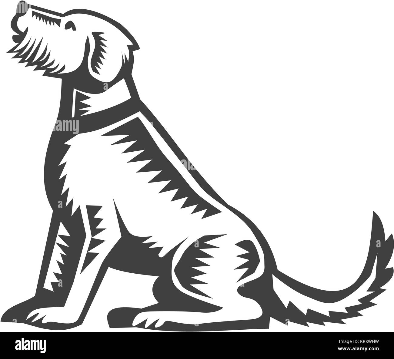 Welsh Terrier assis sur bois Banque D'Images