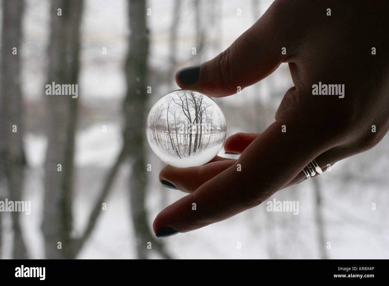 Reflet d'une forêt d'hiver dans une boule de cristal Banque D'Images