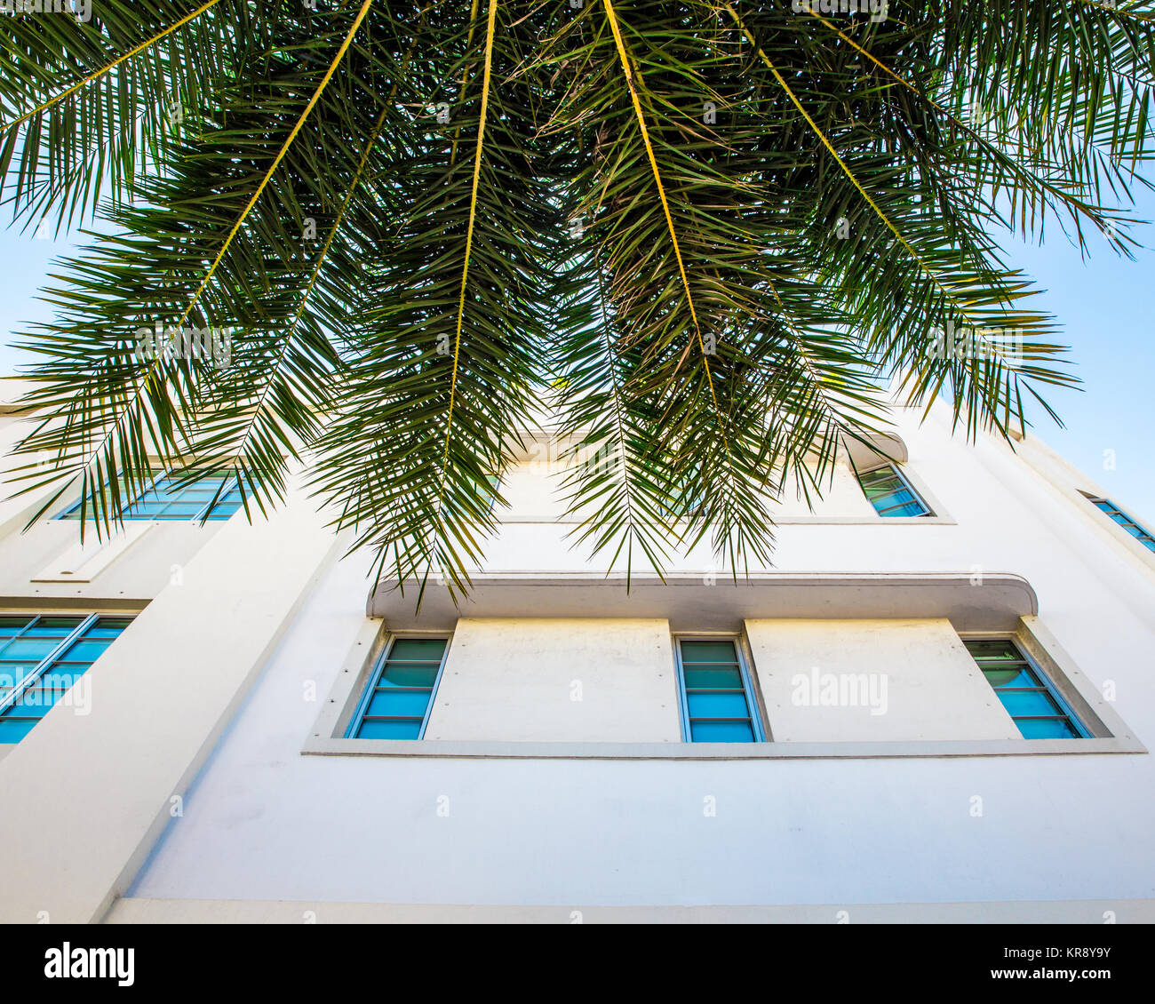 Palmier et bâtiment de style Art déco à South Beach Miami Floride Banque D'Images Palmier et bâtiment de style Art déco à South Beach Miami Floride Banque D'Images