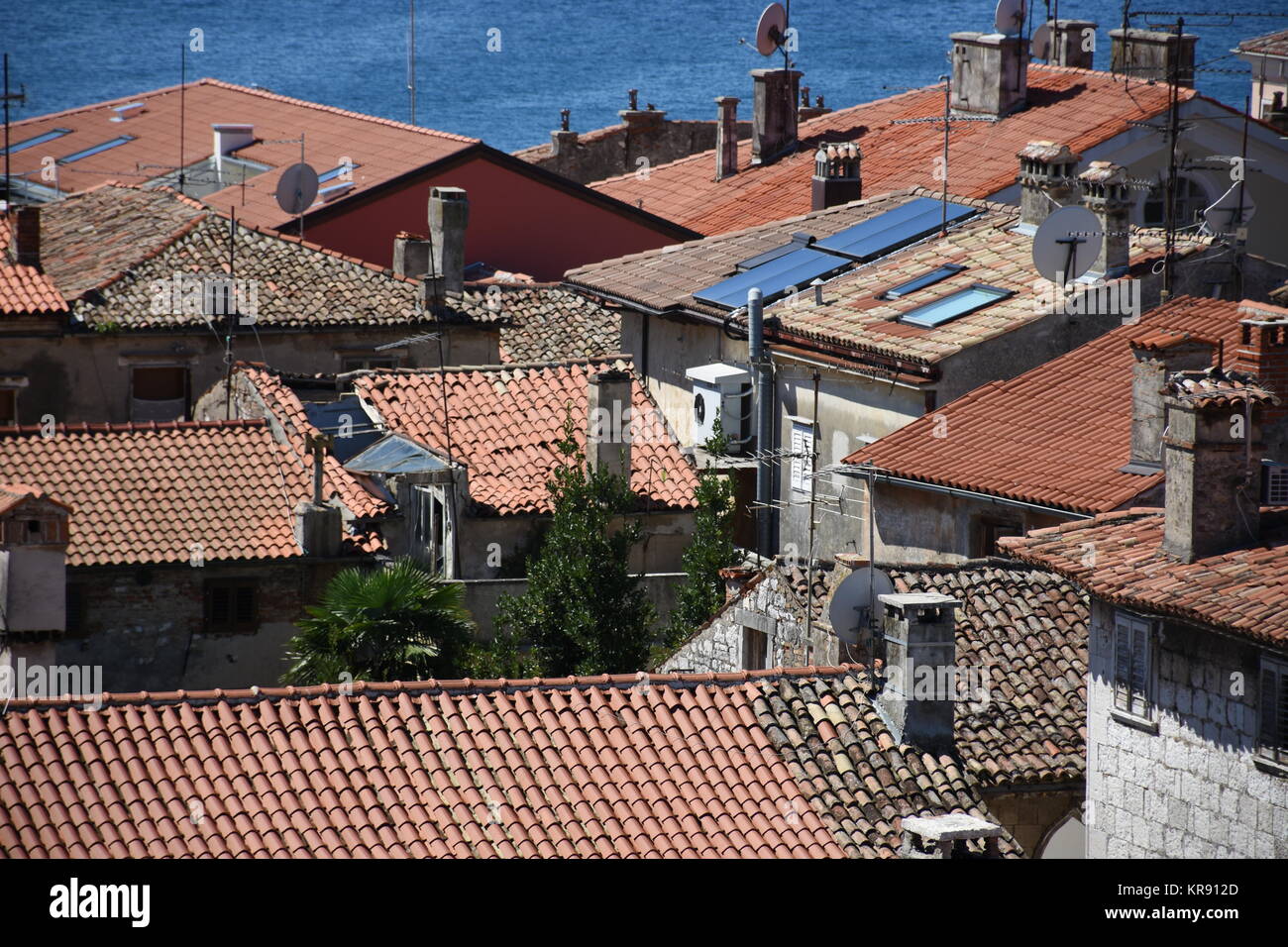 porec,parenzo,parenz,toitures,historique,ville côtière,istrie,vieille ville Banque D'Images
