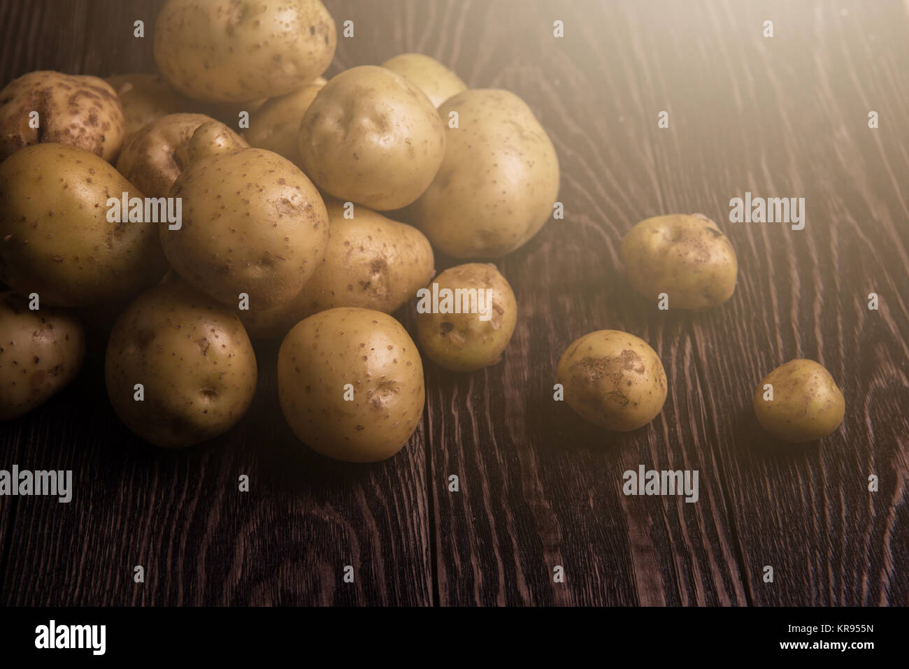 De pommes de terre cultivées fraîchement Banque D'Images