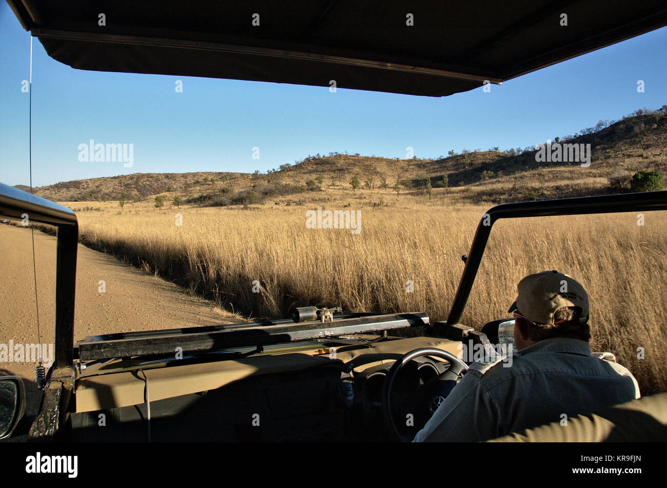 La Province du Nord Ouest, Afrique du Sud - 2017 : Un homme durs un Land Rover avec les touristes dans un safari au parc National de Pilanesberg Banque D'Images