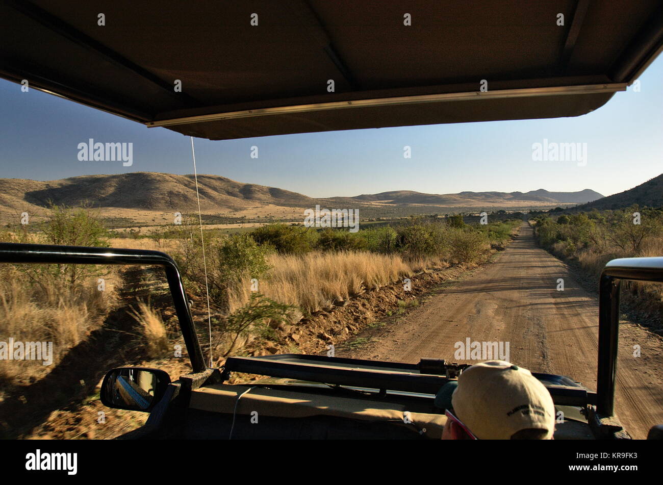 La Province du Nord Ouest, Afrique du Sud - 2017 : Un homme durs un Land Rover avec les touristes dans un safari au parc National de Pilanesberg Banque D'Images