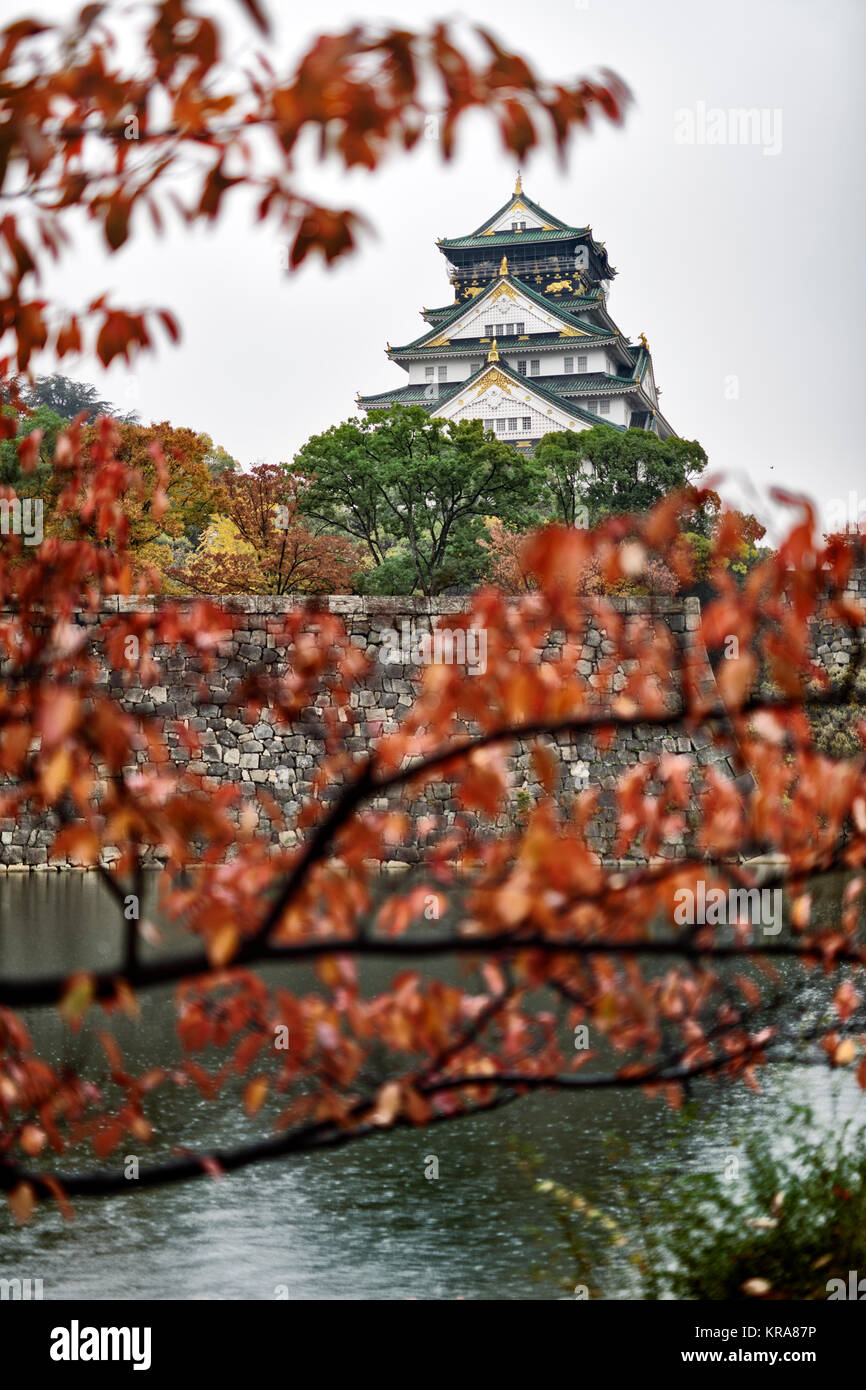 Licence et reproductions sur MaximImages.com - Château d'Osaka, vue d'Osakajo depuis derrière les arbres jaunes d'automne, le matin d'une brumeuse. Osaka Castle Park en automne Banque D'Images
