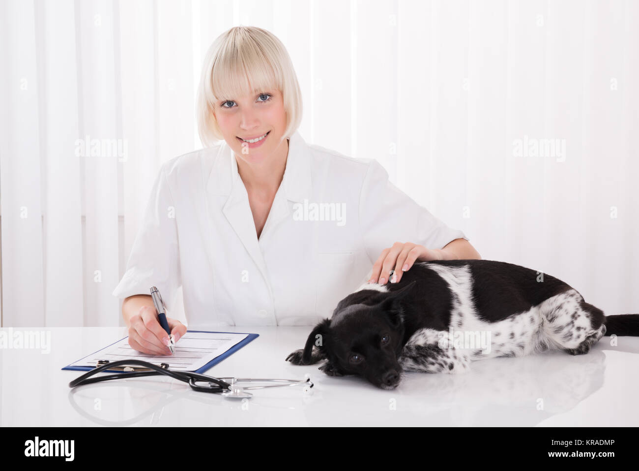 Prescription vétérinaire femelle écrit pour chien Banque D'Images