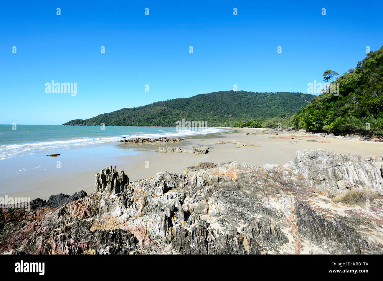 Vue sur plage Cow Bay, Cape Tribulation, Daintree National Park, Far North Queensland, Queensland, Australie, FNQ Banque D'Images