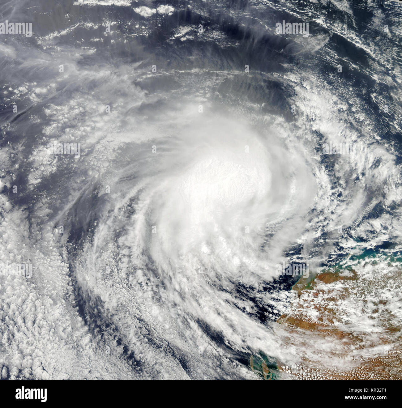 Jan 29 2012 Iggy 0640Z Banque D'Images