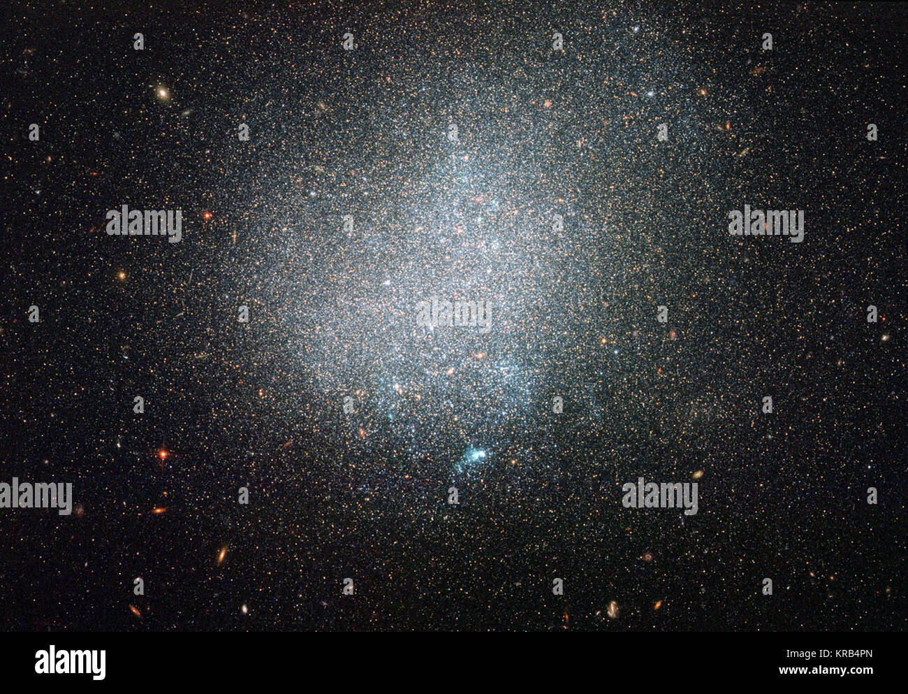 En termes de l'immobilier intergalactique, notre système solaire a un emplacement d'aplomb dans le cadre d'un grand, galaxie spirale, la Voie lactée. Nombreux, moins glamour des galaxies naines, garder la voie lactée company. De nombreuses galaxies, cependant, sont relativement isolées, sans voisins proches. Un tel exemple est la petite galaxie connue sous le nom de DDO 190, pris ici dans une nouvelle image de la NASA/ESA Hubble Space Telescope. DDO 190 est classée comme une galaxie irrégulière naine comme il est relativement petite et manque de structure claire. De plus, la plupart des étoiles rougeâtres peupler DDO 190 localité, tandis que certains jeunes, bleuâtre stars Banque D'Images