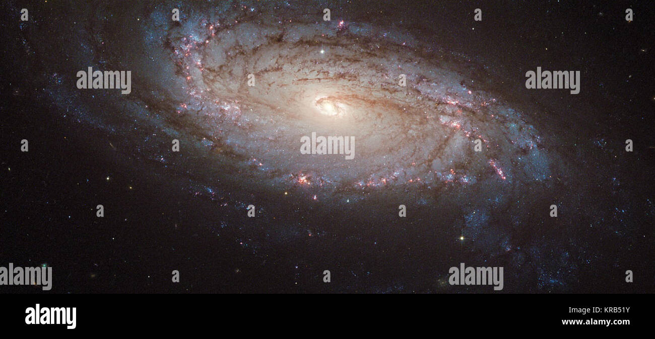 Une nouvelle image de la NASA/ESA Hubble Space Telescope montre NGC 5806, une galaxie spirale située dans la constellation de la Vierge (la Vierge). Il se trouve à environ 80 millions d'années-lumière de la Terre. Également visible dans cette image est une explosion de supernova SN 2004dg appelé. Les expositions qui sont combinés dans cette image ont été effectuées au début de 2005 afin d'aider à localiser l'emplacement de la supernova, qui a explosé en 2004. L'incandescence de cette explosion de lumière, causé par une gigantesque explosion d'étoiles à la fin de sa vie, peut être vu comme un faible point jaunâtre près du fond de la galaxie. NGC 5806 a été cho Banque D'Images