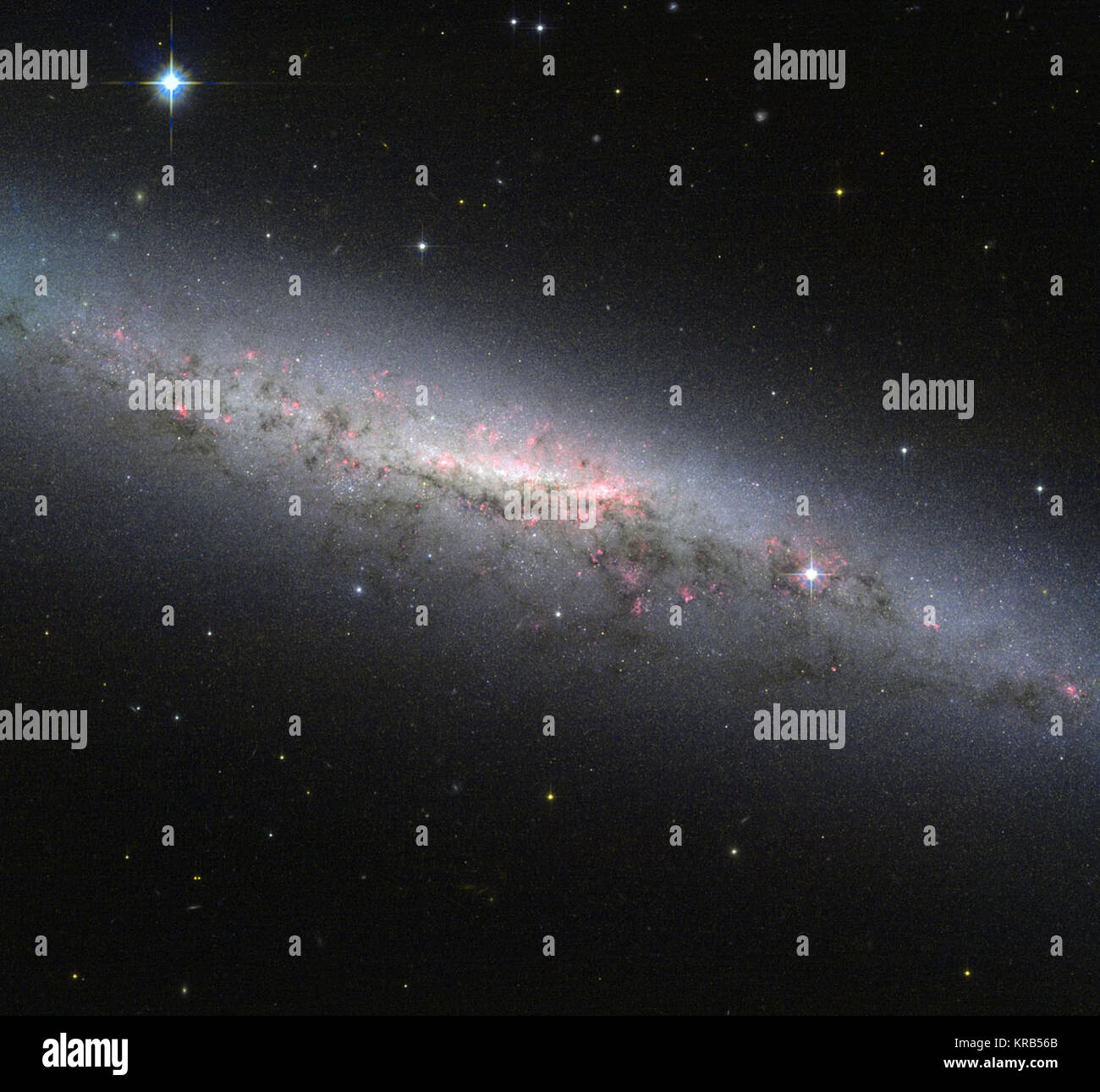 Cette image montre une vue magnifique de la galaxie NGC 7090, comme vu par la NASA/ESA Hubble Space Telescope. La galaxie est vue par la tranche depuis la Terre, ce qui signifie que nous ne pouvons pas facilement voir les bras spiraux, qui sont pleins de jeunes étoiles chaudes. Cependant, notre côté-vue sur le disque de la galaxie montre et le renflement central core, où normalement un groupe important de refroidir les vieilles étoiles sont dans un boîtier compact, l'alimentation de la région. En outre, il y a deux fonctionnalités intéressantes présentes dans l'image qui méritent une mention. Premièrement, nous sommes en mesure de distinguer un modèle complexe de régions de couleur rouge sur l'ensemble de la gal Banque D'Images