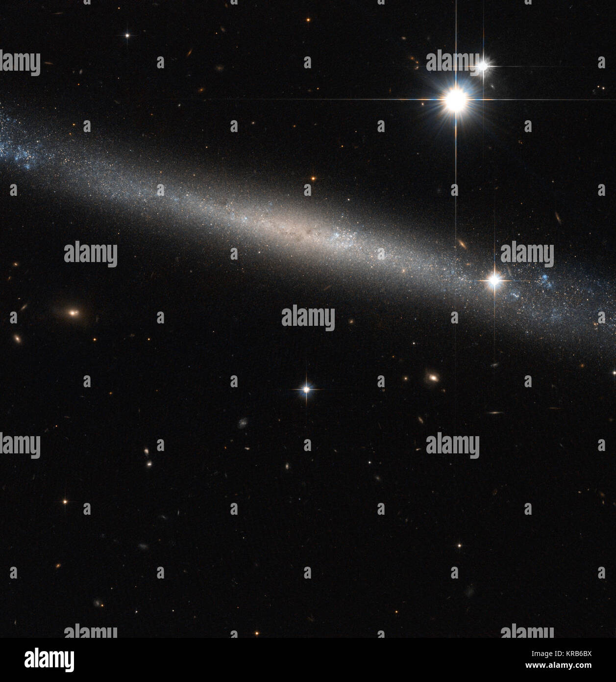 Comme trouver une aiguille d'argent dans la botte de l'espace, la NASA/ESA Hubble Space Telescope a produit cette belle image de la galaxie spirale IC 2233, l'une des galaxies plus plate connue. Les galaxies spirales typiques comme la Voie Lactée sont généralement constitués de trois principaux composants visibles : le disque où les bras spiraux et la plupart des gaz et de la poussière est concentré ; l'auréole, un peu partout dans le domaine de disque qui contient peu de gaz, de poussière ou de la formation des étoiles ; et le renflement central au cœur du disque, qui est formé par une grande concentration d'anciennes étoiles entourant l'Galact Banque D'Images