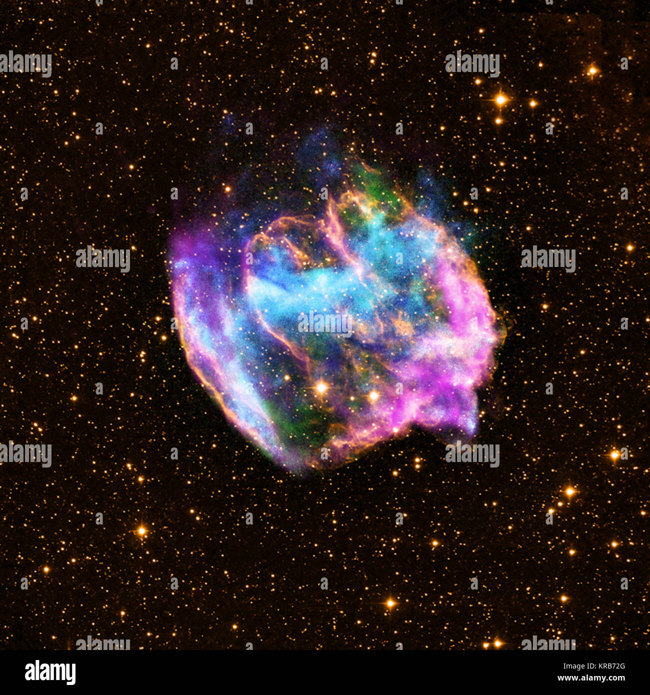 Cette supernova largement faussé peut contenir le plus récent trou noir formé dans la Voie lactée. L'image composite combine des rayons X de Chandra (bleu et vert), radio des données du Very Large Array (rose) et l'infrarouge des données de l'Observatoire du Mont Palomar (jaune). La plupart des explosions de supernovae qui détruisent les étoiles massives sont généralement symétriques. Dans la W49B supernova, cependant, il apparaît que le matériel près de ses pôles a été éjectée à des vitesses beaucoup plus élevées qu'à l'équateur. Il y a aussi des preuves que l'explosion qui a produit W49B a laissé un trou noir et pas une neutro Banque D'Images