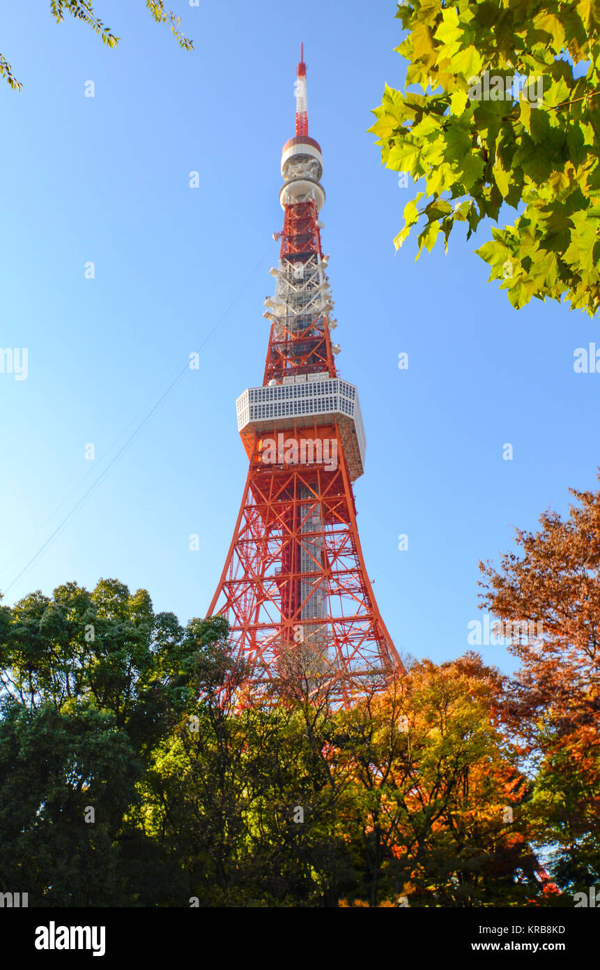 Tour de Tokyo à l'automne, avec ciel bleu. Banque D'Images
