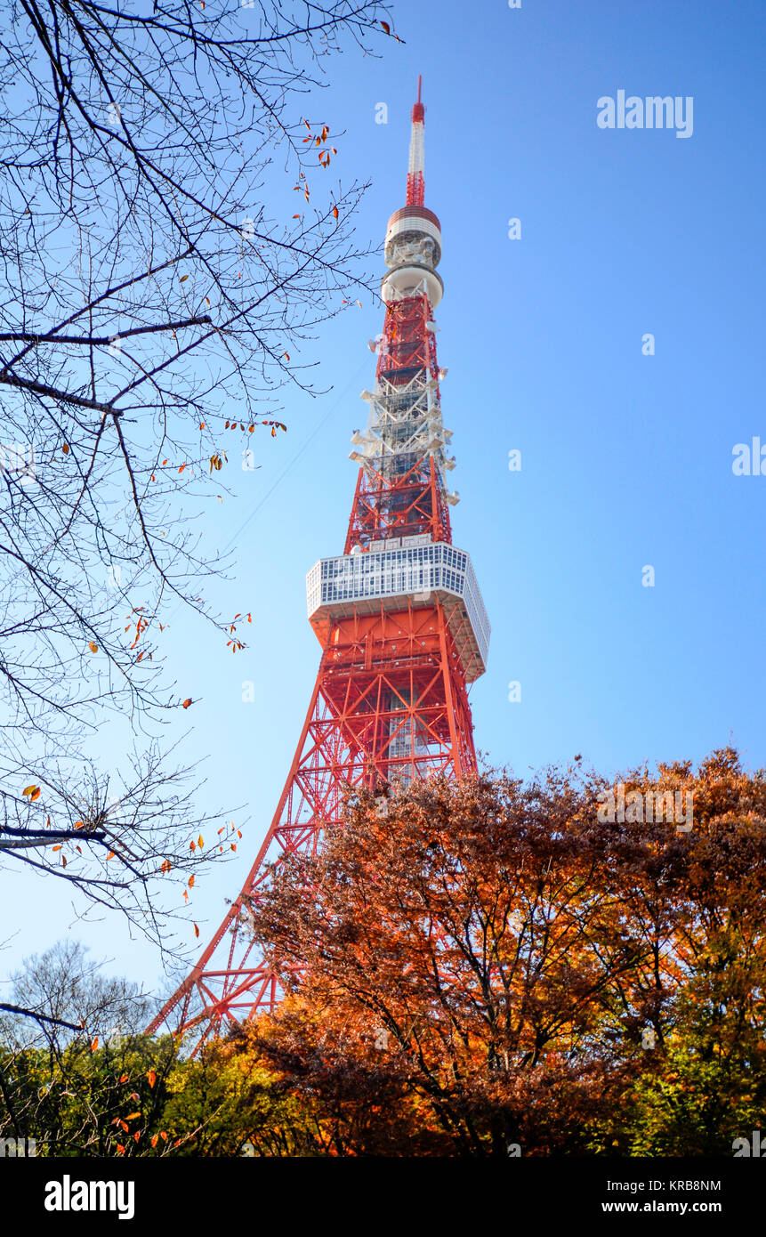 Tour de Tokyo à l'automne, avec ciel bleu. Banque D'Images