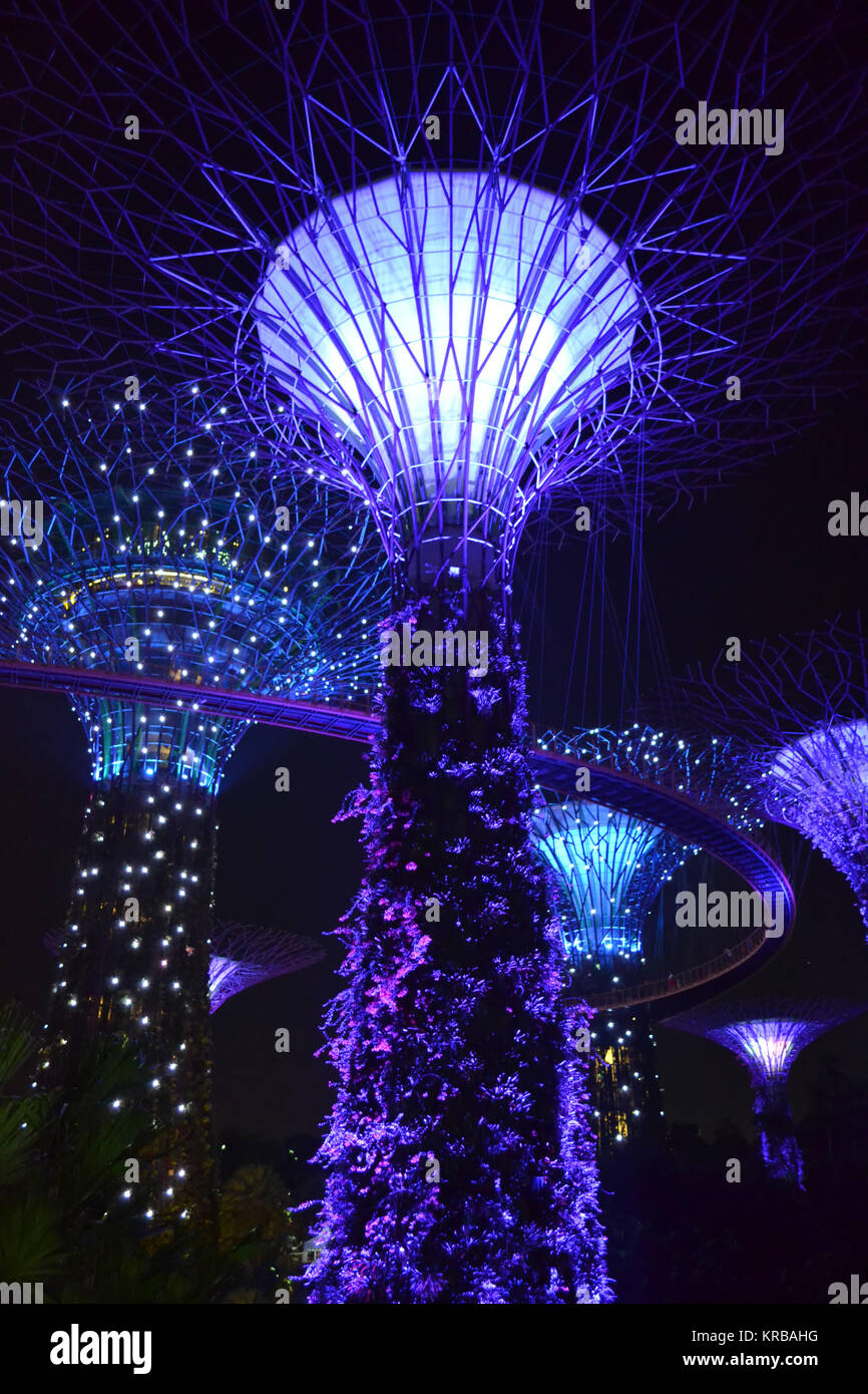 Gardens by the Bay à Singapour Banque D'Images