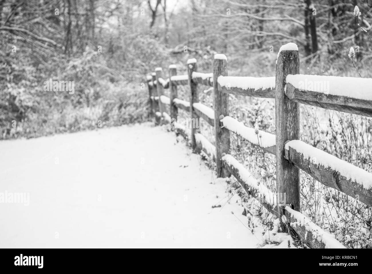 Vieille Clôture recouverte de neige résumé fond. La photographie noir et blanc Banque D'Images