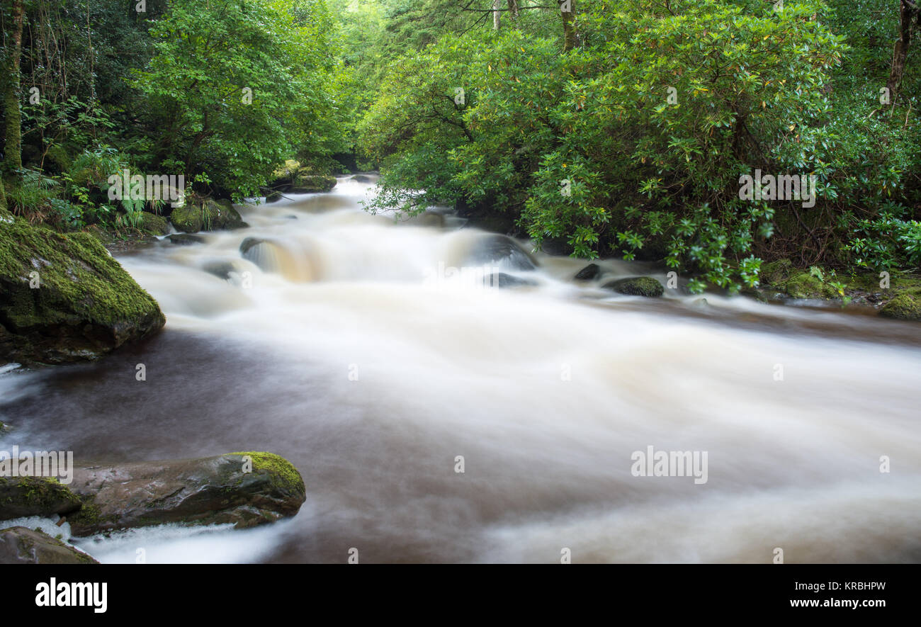Rapides sur la rivière Torc en dessous du célèbre Torc Waterfall en Irlande est le Parc National de Killarney. Banque D'Images