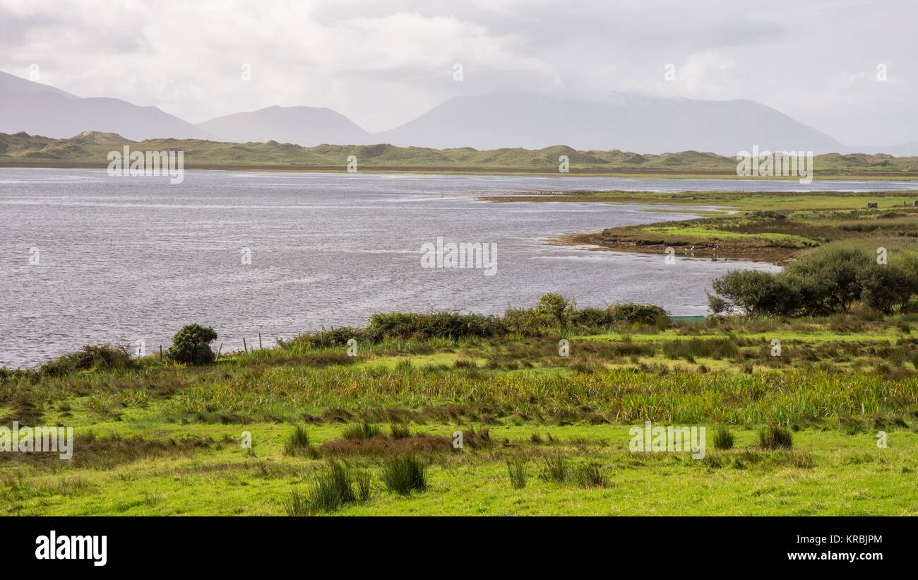 Le stand de dunes à Inch Strand s'étend dans la baie de Dingle, avec les montagnes de l'Iveragh derrière, dans le comté de Kerry en Irlande. Banque D'Images