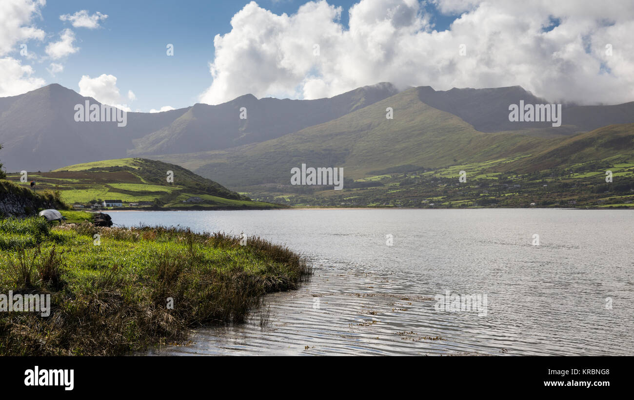 Brandon Mountain, le plus haut sommet de la péninsule de Dingle, s'élève depuis les rives de l'estuaire de Cloghane sur Brandon Bay à l'ouest de l'Irlande, le comté de Kerry Banque D'Images