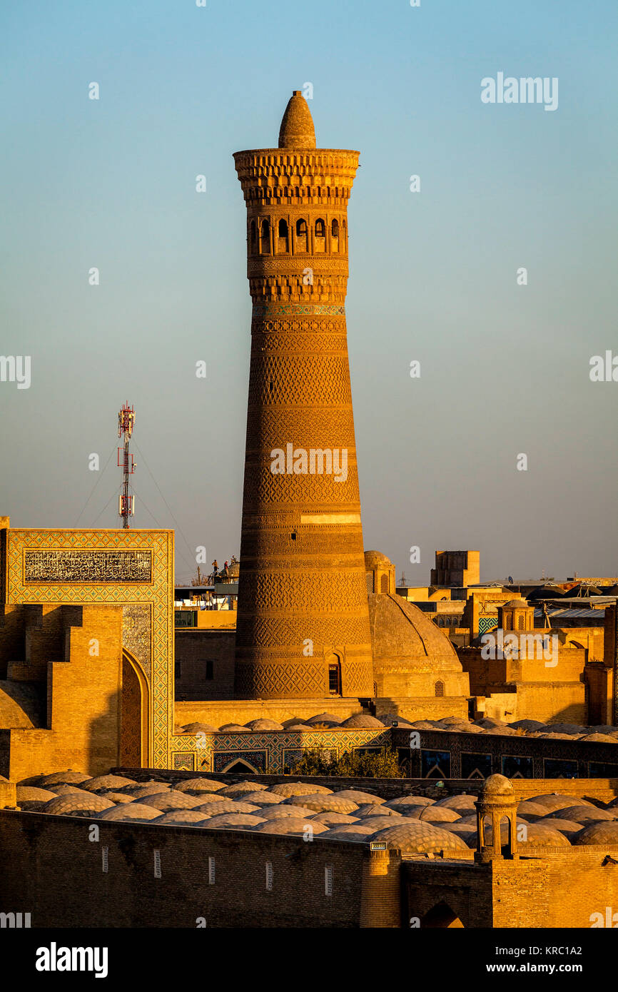 Le Kalyon Minaret, Boukhara, Ouzbékistan Banque D'Images