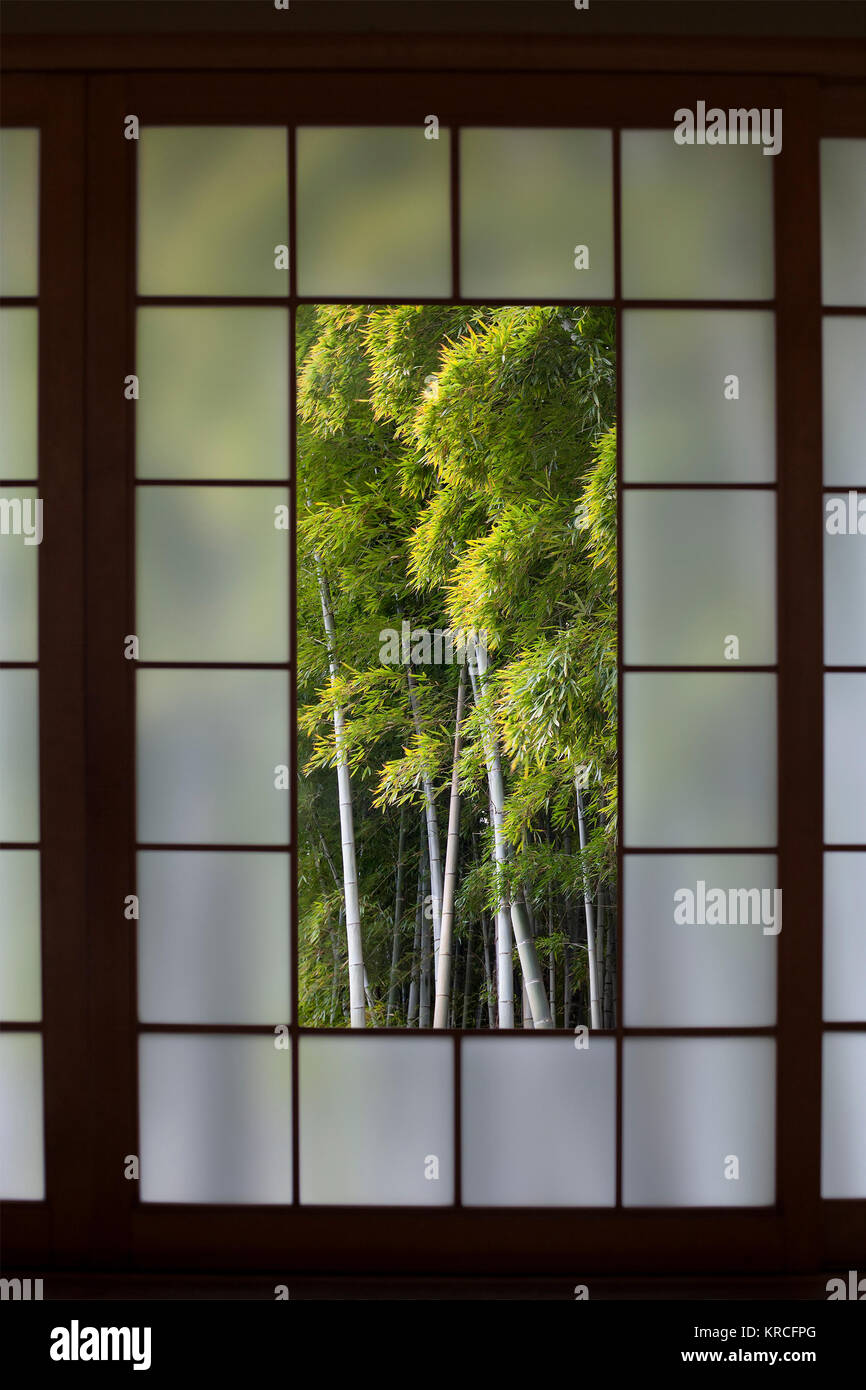 Forêt de bambou Vue à travers une fenêtre dans un traditionnel écran Shoji japonais Banque D'Images