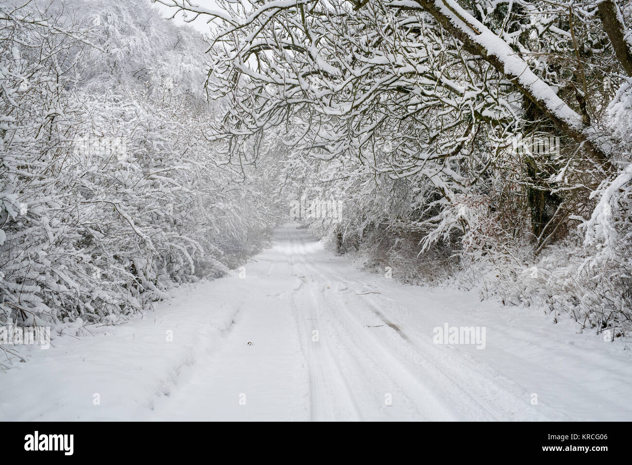Route de campagne enneigée près de Snowshill village en décembre. Snowshill, Cotswolds, Gloucestershire, Angleterre Banque D'Images