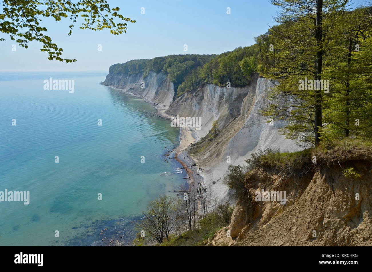 Kreideküste Rügen, Jasmund, Nationalpark Banque D'Images