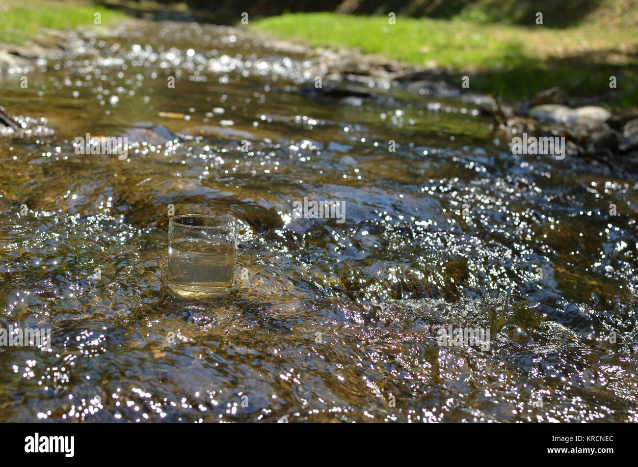 Verre de l'eau non polluée dans un flux rapide d'un ruisseau de montagne Banque D'Images