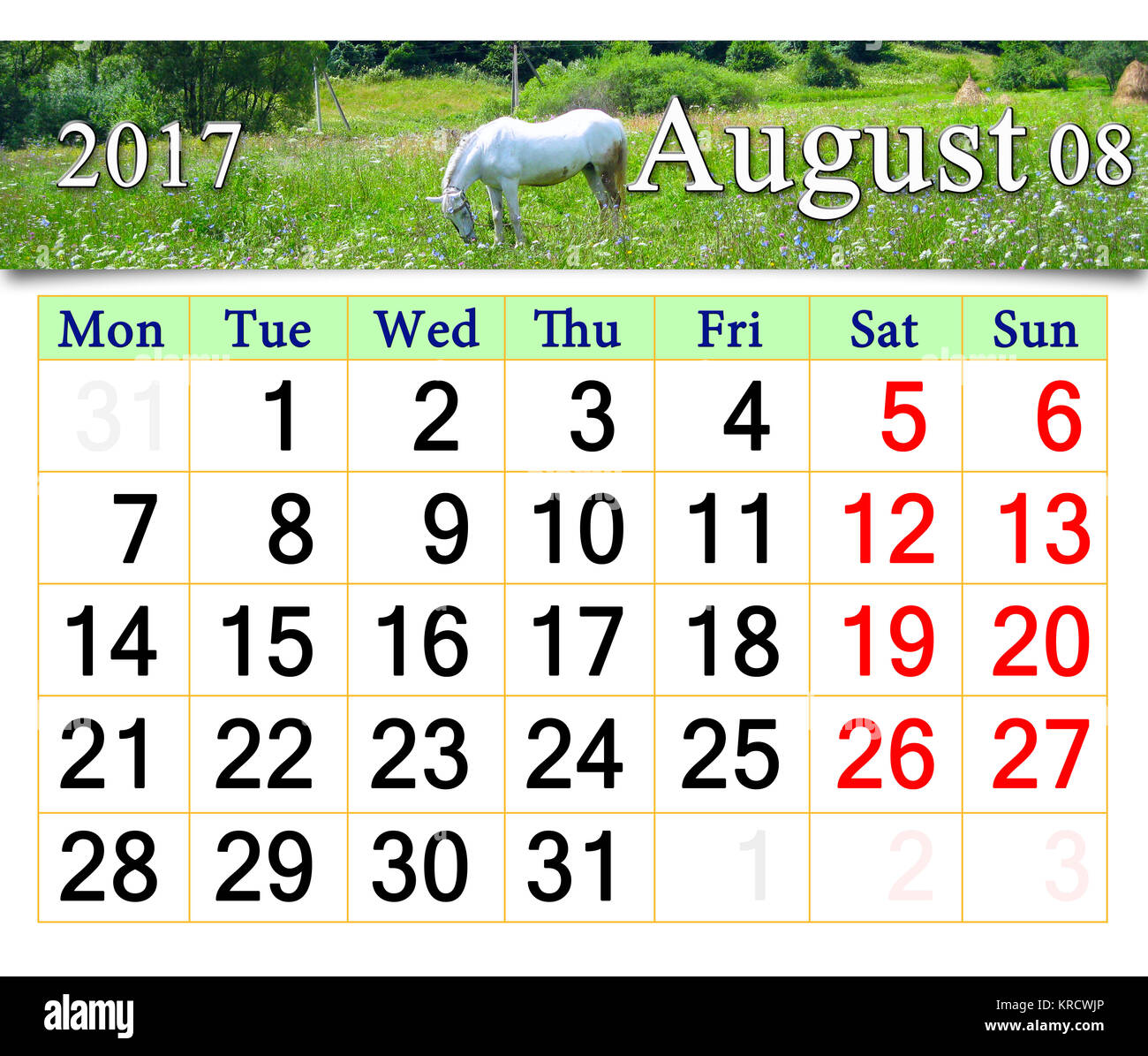 Calendrier pour août 2017 avec White horse de pâturage Banque D'Images