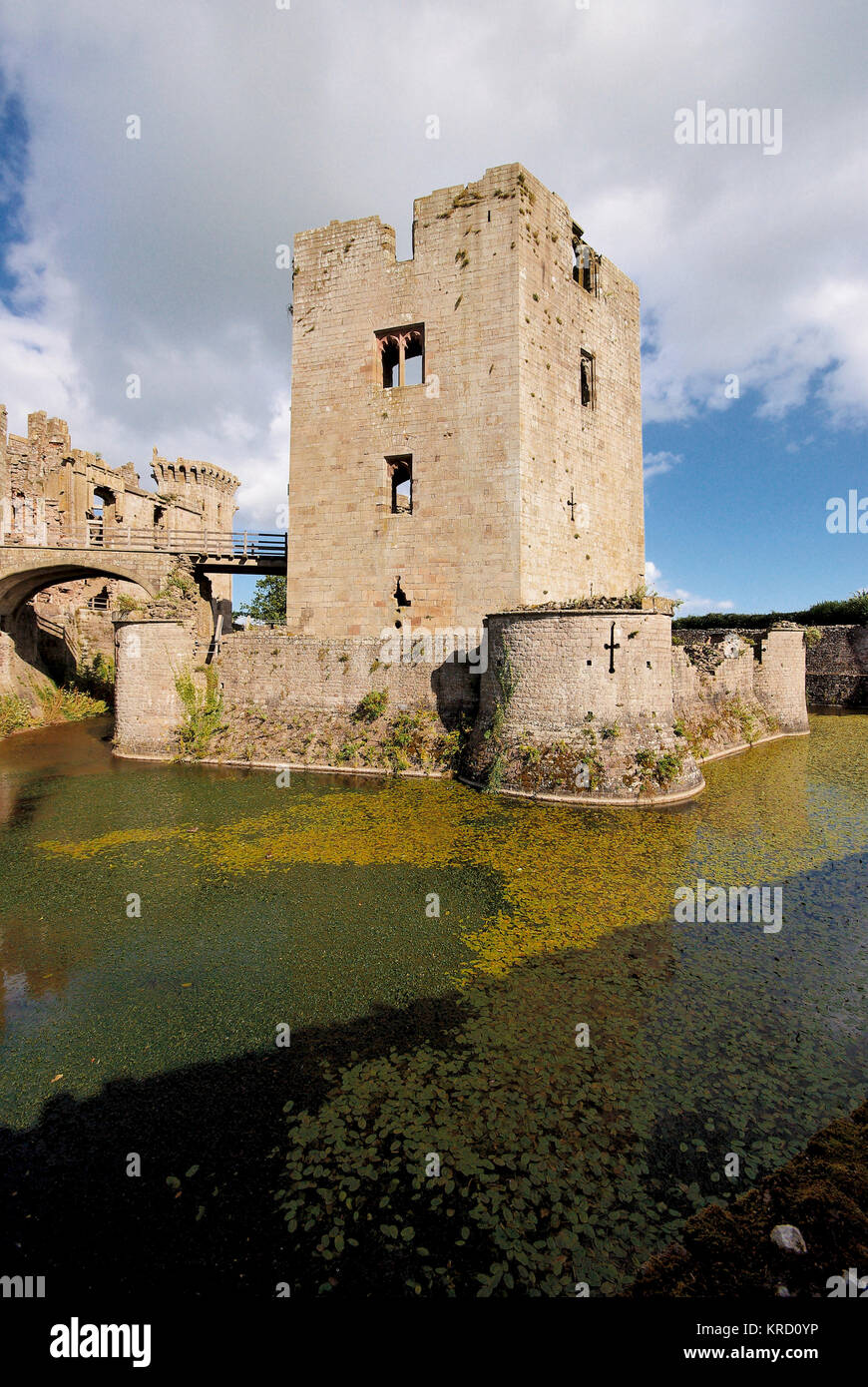 Château de Raglan près de Raglan, Gwent, une forteresse militaire construite au Moyen âge pour défendre la frontière galloise contre les Anglais. Il est devenu une ruine pendant la guerre civile anglaise. Ces dernières années, il a été populaire comme lieu de cinéma et de télévision. Une vue à travers les douves. Banque D'Images